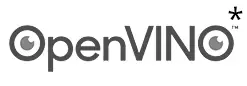 OpenVINO
